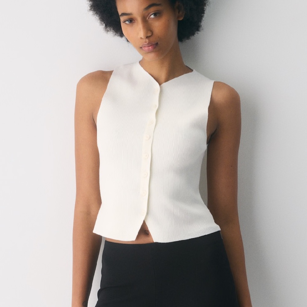 aritzia wilfred croquet sweater vest